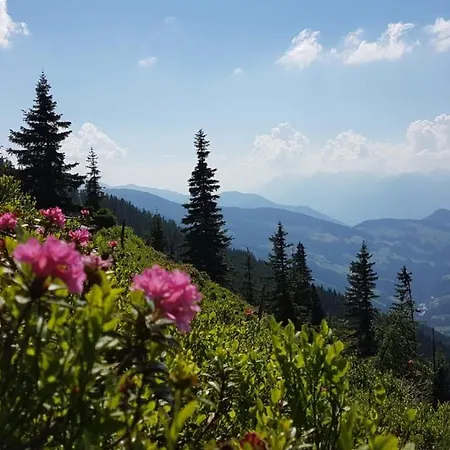 Woerglerhof's Huettenapartments Mit Kachelofen