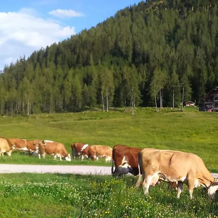Woerglerhof's Huettenapartments Mit Kachelofen Farmház *