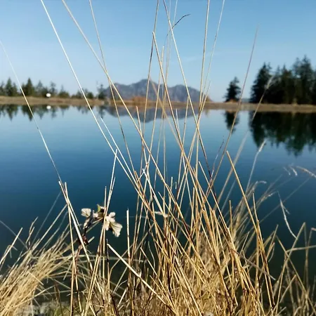 Woerglerhof's Huettenapartments Mit Kachelofen Alpbach