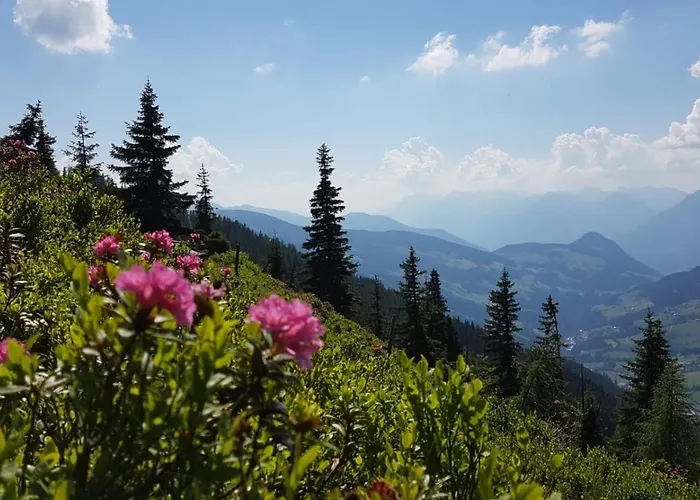 Woerglerhof's Huettenapartments Mit Kachelofen