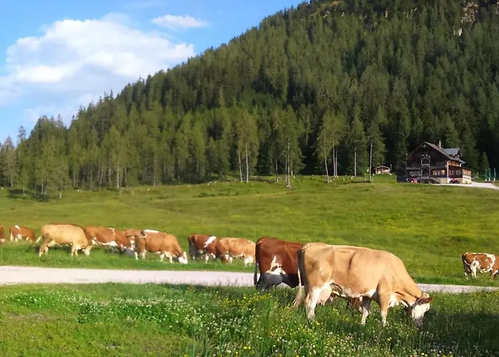 Woerglerhof's Huettenapartments Mit Kachelofen Κατάλυμα σε φάρμα *
