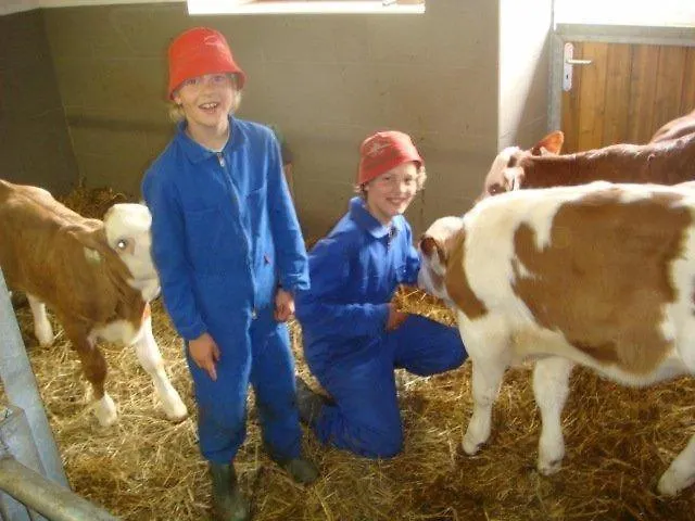 Woerglerhof's Huettenapartments Mit Kachelofen Alpbach