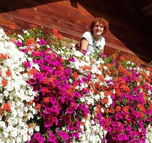 Woerglerhof's Huettenapartments Mit Kachelofen Alpbach