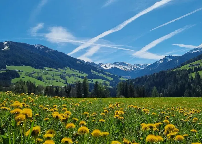 Woerglerhof's Huettenapartments Mit Kachelofen * Alpbach