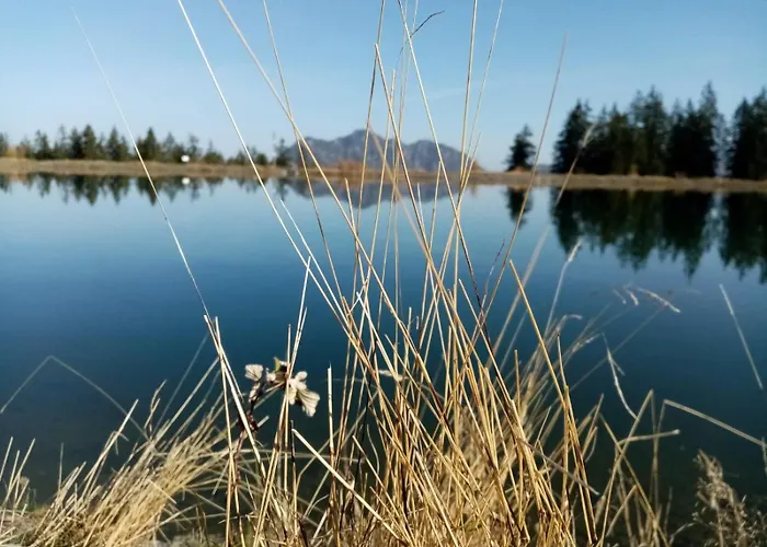 Woerglerhof's Huettenapartments Mit Kachelofen Alpbach