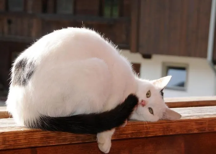 Woerglerhof's Huettenapartments Mit Kachelofen Κατάλυμα σε φάρμα Alpbach