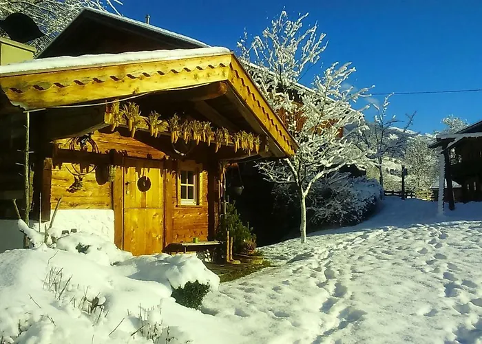 Woerglerhof's Huettenapartments Mit Kachelofen Κατάλυμα σε φάρμα