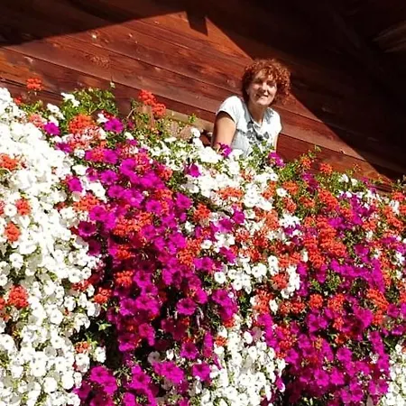 Woerglerhof's Huettenapartments Mit Kachelofen Alpbach