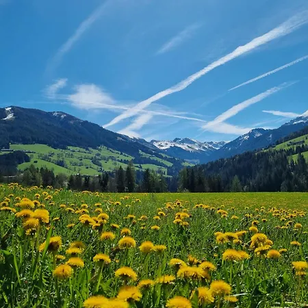 Woerglerhof's Huettenapartments Mit Kachelofen Farm * Alpbach