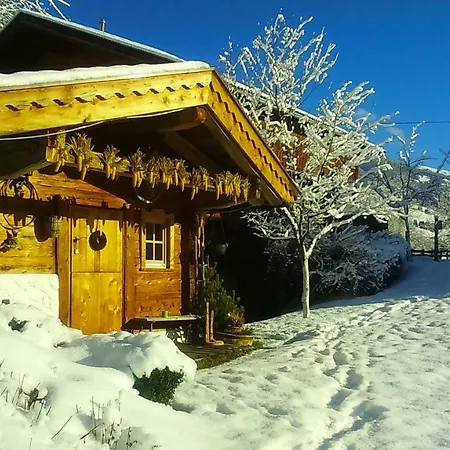Woerglerhof's Huettenapartments Mit Kachelofen Çiftlik konaklama