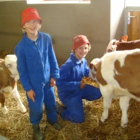 Woerglerhof's Huettenapartments Mit Kachelofen アルプバッハ